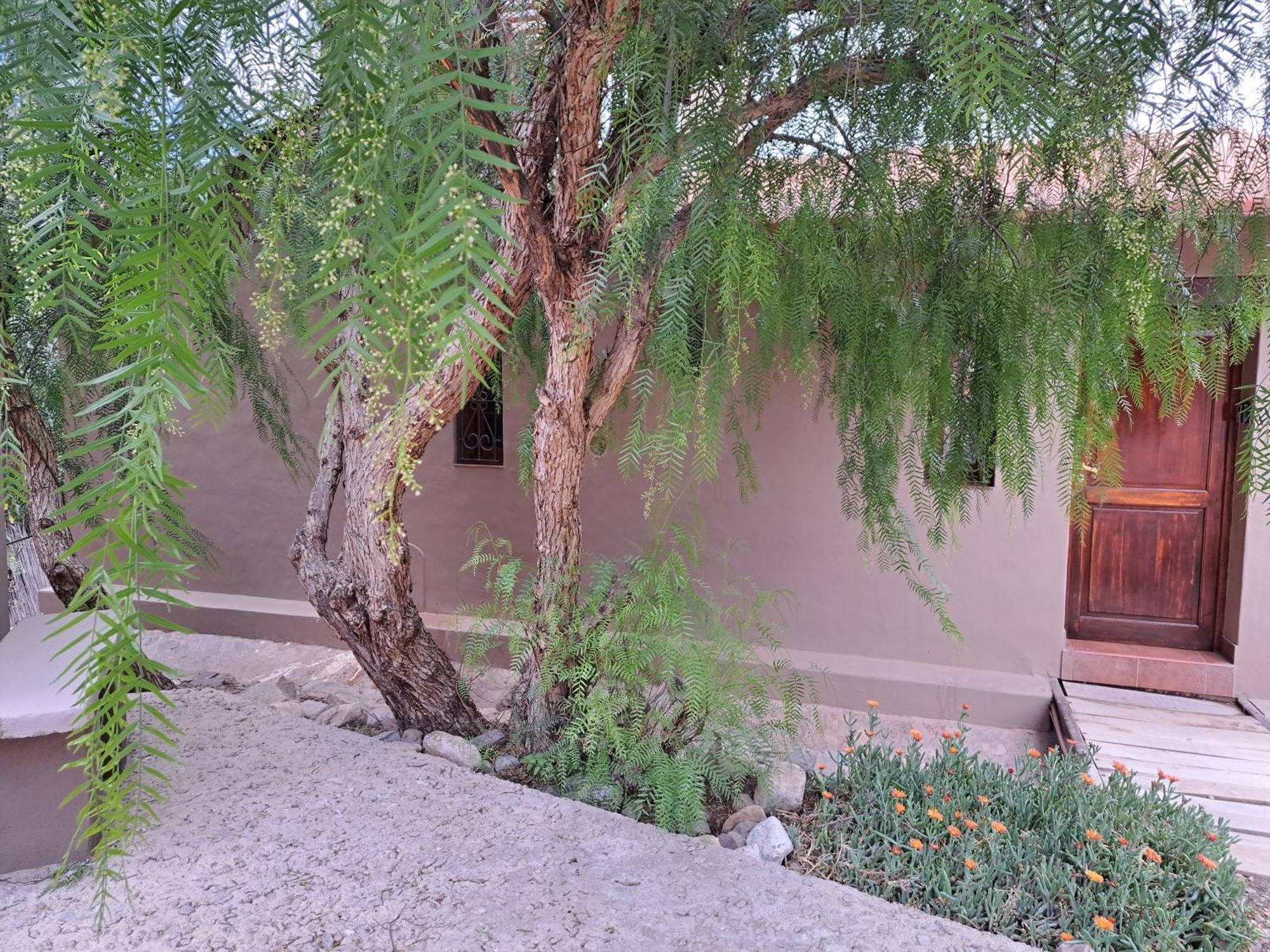 Casa En Tilcara Con Hermosa Vista Al Pucara Экстерьер фото
